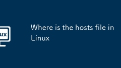 Linux의 호스트 파일은 어디에 있습니까?