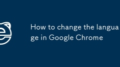 如何更改Google Chrome中的语言