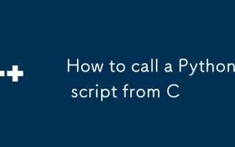 Comment appeler un script python de c