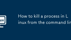 명령 줄에서 Linux에서 프로세스를 죽이는 방법