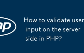 Bagaimana cara mengesahkan input pengguna di bahagian pelayan di PHP?