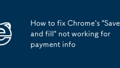 如何修复Chrome的'保存和填充”不起作用的付款信息