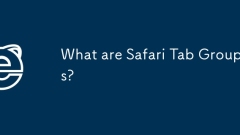 什么是Safari Tab组?