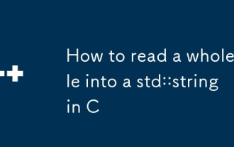 如何將整個文件讀取到C中的std ::字符串