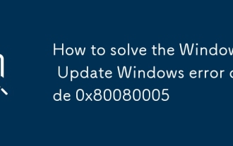 Comment résoudre le code d'erreur Windows à mise à jour Windows 0x80080005
