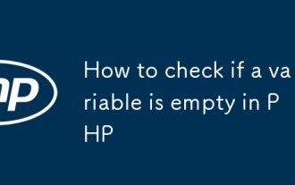 Comment vérifier si une variable est vide en php