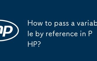 PHPで参照によって変数を渡す方法は?