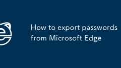 Cara Mengeksport Kata Laluan dari Microsoft Edge