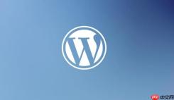 WordPress网站打开速度慢如何优化