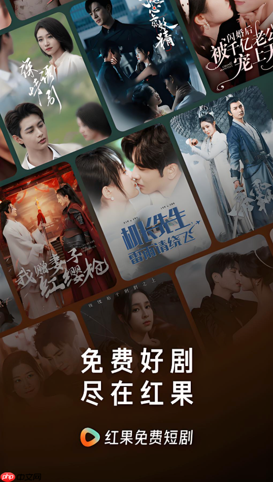 红果免费短剧的缓存视频格式是什么_红果免费短剧缓存视频格式说明