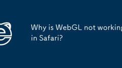 Mengapa Webgl tidak berfungsi di Safari?