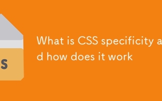 Quelle est la spécificité CSS et comment ça marche