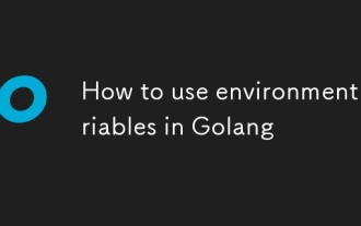 如何使用Golang的环境变量