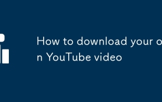 独自のYouTubeビデオをダウンロードする方法