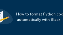 So formatieren Sie Python-Code automatisch mit Black