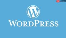 WordPress如何解决评论中的垃圾留言问题