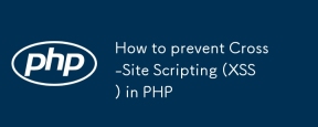 如何防止 PHP 中的跨站腳本 (XSS)