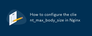 Cara mengkonfigurasi klien_max_body_size dalam nginx