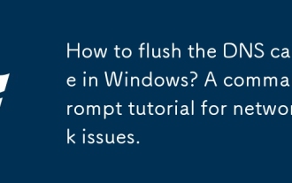 Windows で DNS キャッシュをフラッシュするにはどうすればよいですか?ネットワークの問題に関するコマンド プロンプトのチュートリアル。