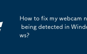 How to fix my webcam not being detected in Windows?