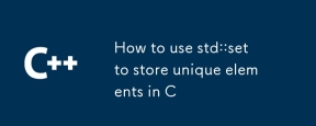 如何使用 std::set 在 C 中存储唯一元素