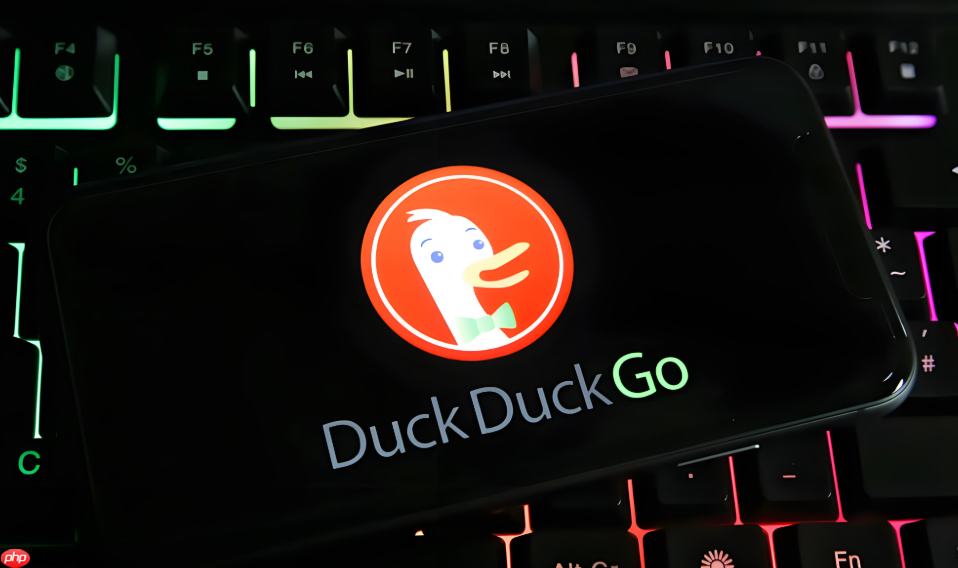 duckduckgo瀏覽器支持Flash Player嗎_DuckDuckGo Flash支持說(shuō)明