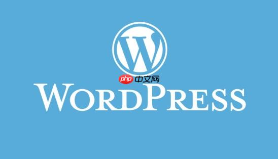怎么在wordpress侧边栏小工具中插入自定义代码
