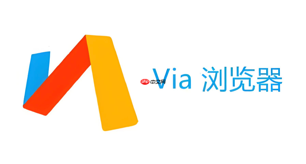 via浏览器如何让视频播放器支持手势操作_via浏览器开启视频手势操作的方法