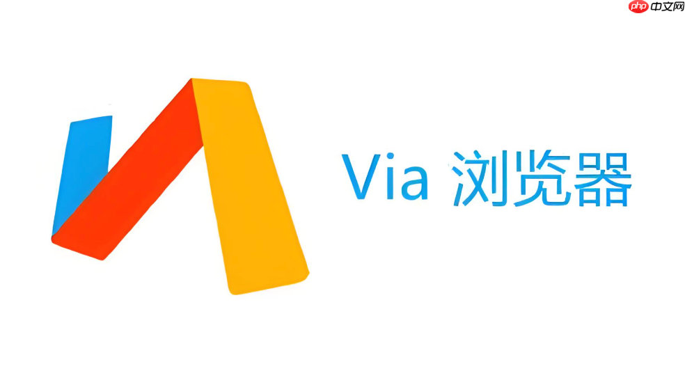 Via浏览器为什么打不开某些网站_Via浏览器无法访问网页的排查与解决方法