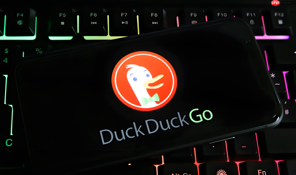 duckduckgo浏览器打不开某些网站怎么办_duckduckgo网页访问问题解决