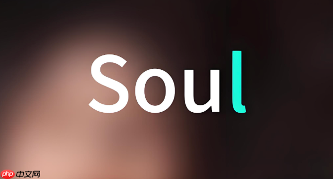 soul的语音消息转文字功能在哪里设置_Soul语音转文字设置位置