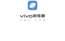 vivo浏览器如何开启硬件加速提升流畅度_vivo浏览器开启硬件加速提升浏览体验的方法