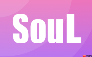 soul怎么发带音乐的瞬间_Soul带音乐瞬间发布方法