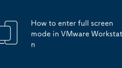 如何在VMware Workstation中進入全屏模式