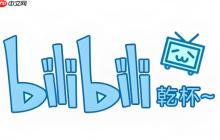 Bilibili网页版 Bilibili官方网站登录入口