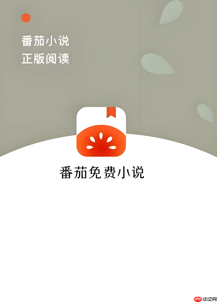 番茄免费小说下载速度很慢怎么办_番茄免费小说下载慢解决方案