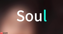 soul更新后聊天记录会没了吗_Soul更新后聊天记录说明
