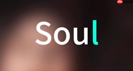 soul怎么隐藏自己的主页内容_Soul主页内容隐藏方法