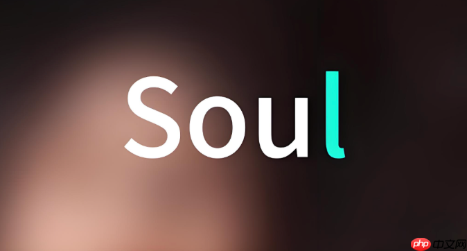 soul为什么突然无法进行语音通话了_Soul语音通话异常原因