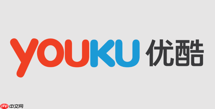 优酷在国外充值会员用什么支付方式_优酷海外支付方式指南