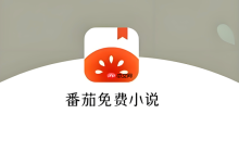 番茄免费小说为什么一直显示网络错误_番茄免费小说网络错误原因分析