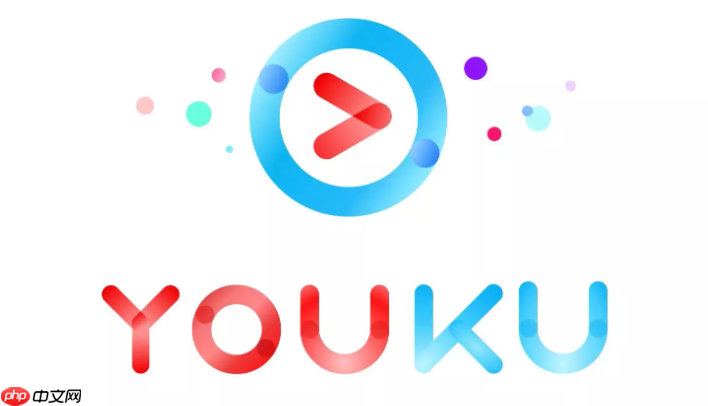 优酷会员账号可以租给别人用吗_优酷账号共享与使用规范