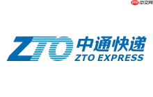 中通快递单号查询入口浏览器打开 中通快递查询官网网址