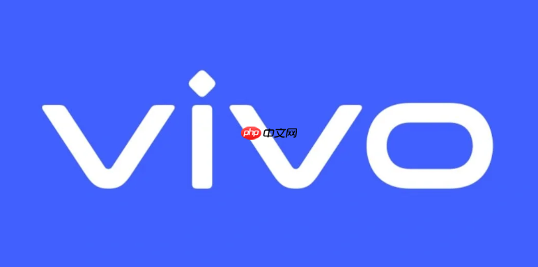 vivo手机无法安装未知来源的应用_vivo未知来源应用安装方法