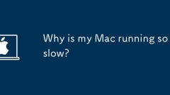 내 Mac이 왜 이렇게 느리게 실행되나요?