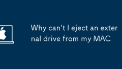 MAC에서 외장 드라이브를 꺼낼 수 없는 이유