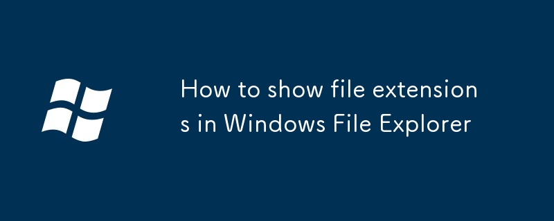 如何在 Windows 文件資源管理器中顯示文件擴展名
