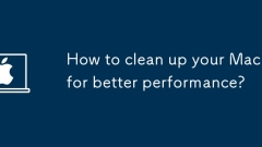 더 나은 성능을 위해 Mac을 정리하는 방법은 무엇입니까?