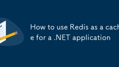 So verwenden Sie Redis als Cache für eine .NET-Anwendung