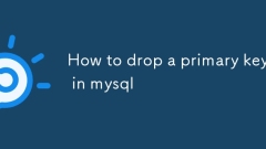 So löschen Sie einen Primärschlüssel in MySQL